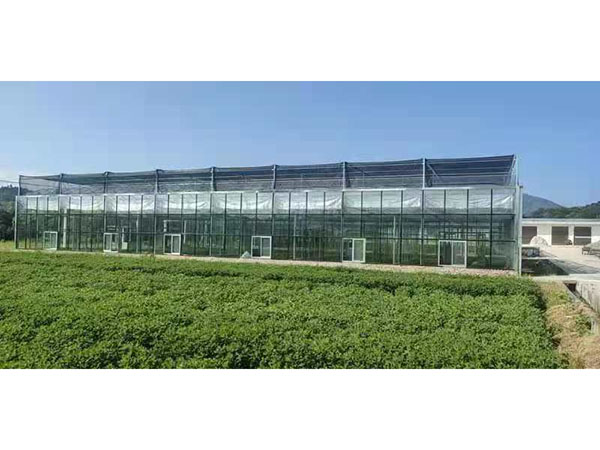 江西省宜春市奉新縣上富鎮玻璃溫室